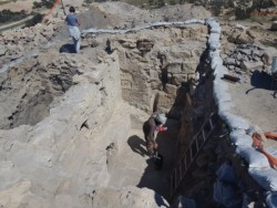 Deserto del Neghev, recenti scoperte nel sito di Halutza