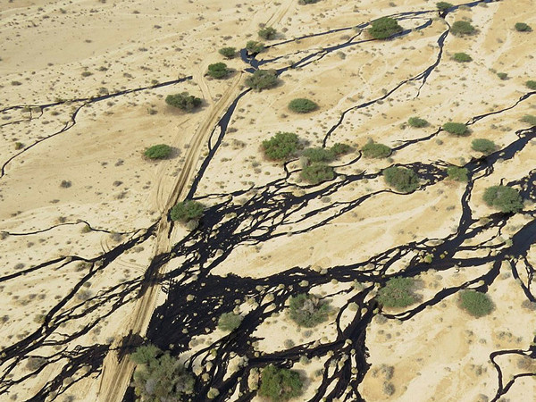 Catastrofe ecologica nel sud di Israele