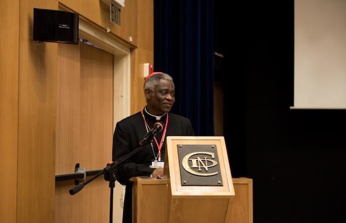 Il cardinale Turkson parla delle sfide che ostacolano la prospettiva di un'ecologia integrale.