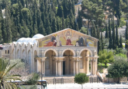 Getsemani, nell’orto dell’Agonia