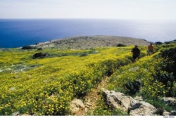 Turismo a Cipro: l’isola “tiene” nonostante la crisi internazionale
