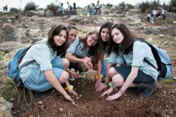 Israele, il Capodanno degli alberi