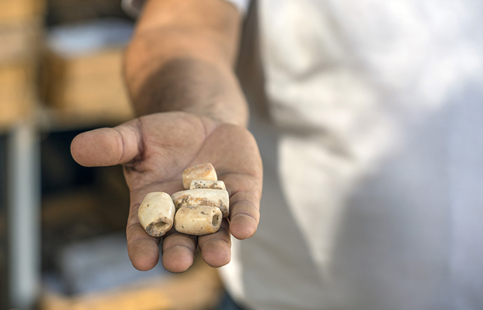 Monili di alabastro, anch'essi scoperti negli scavi di Motza, alle porte di Gerusalemme. (foto Yaniv Berman/AIA)