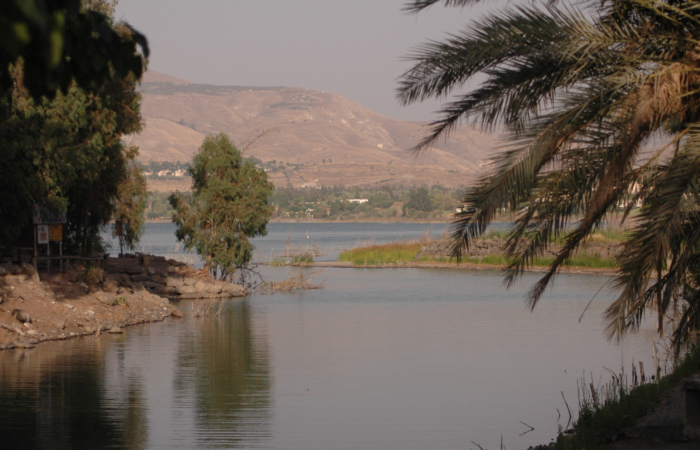 Il lago di Tiberiade (o mare di Galilea) in un periodo di siccità, luglio 2006. (foto Yossi Zamir /Flash90)