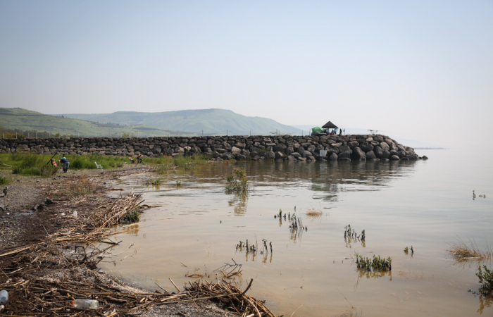 Chiamato dagli ebrei Kinneret, il lago di Tiberiade in uno scorcio del lato settentrionale a marzo 2019. (foto David Cohen/Flash90)